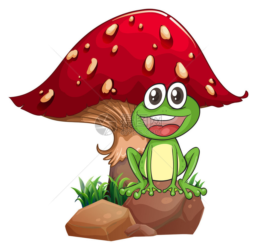 一只青蛙和一只蘑菇在白色背景上的插图图片