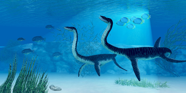 侏罗纪大海充满了生命图片