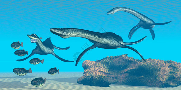 一包龙虾恐龙在史前的海洋里捕猎了一所学校的Dap图片