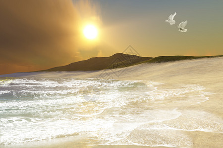 两只白鸽飞过进入海岸的海浪图片