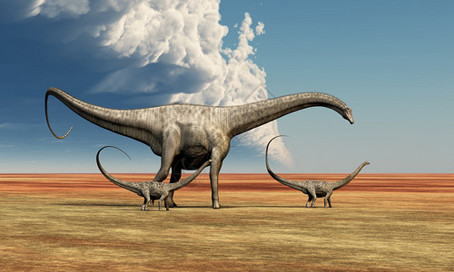 一位戴普洛多克斯女恐龙在地球历史的白鲸时代陪伴背景图片