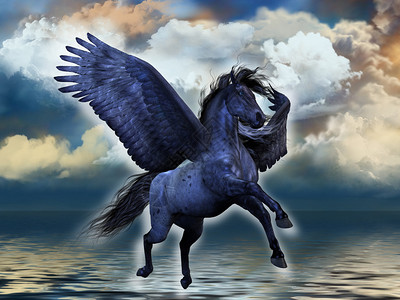 伯恩莫尔塔恩一头黑色的飞马驹种马飞过海洋的水域插画