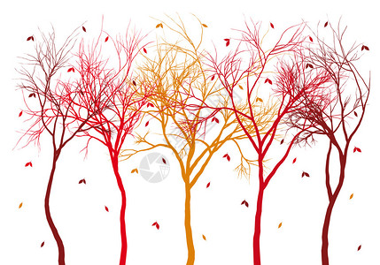秋叶树有色彩多的落图片
