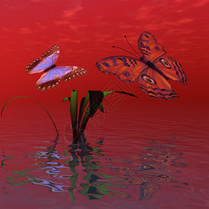 两只蝴蝶在沼泽池塘上的幻想形象图片