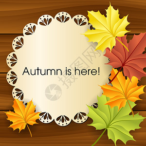含有纸带和木本底叶的秋季图片