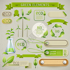 整套生态符号标签和图标的矢量指标图片