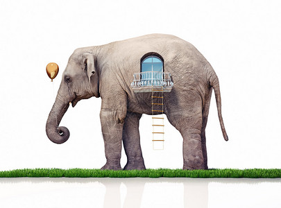 绳梯大象是一栋房插画