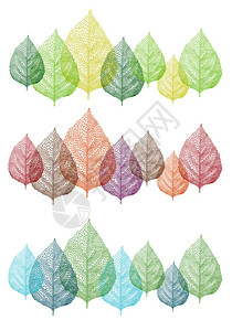 五颜六色的秋叶和春叶矢量集图片