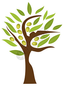 阿尔贝罗贝洛矢量树用橄榄插画