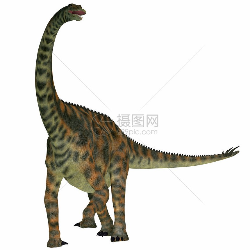 脊髓灰质炎是一种来自尼日尔的索罗波德恐龙图片