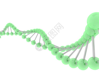 绿色DNA分图片