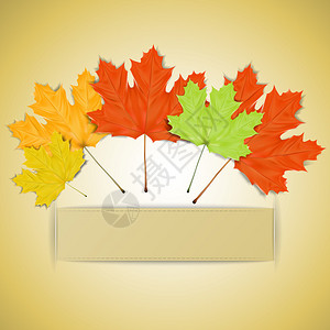 色彩缤纷的秋叶为您的文字提供位置图片