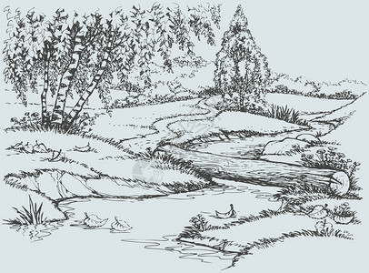 矢量景观小溪上的小径附近的白桦树图片