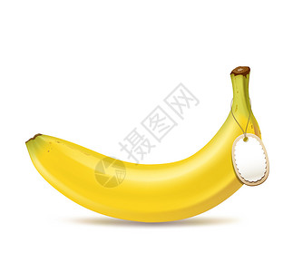 香蕉和标签设计矢量图图片