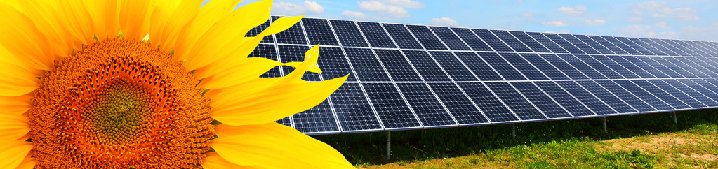 杨日葵日葵田上的太阳能电池板与阳光插画
