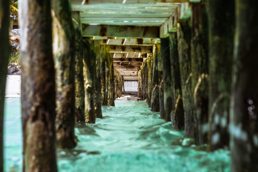 木码头下面的抽象和有趣的景色被绿化的绿色海洋水所喷洒并缩小到图片