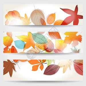 由多彩手工绘画风格的矢量组成的秋季落叶图片