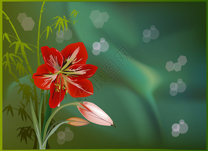 用孤挺花和绿竹组成的插图背景图片