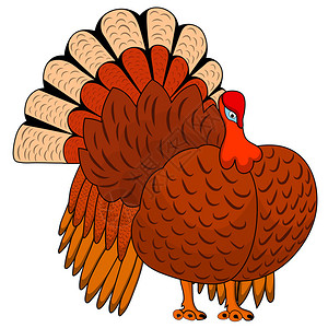 感恩节土耳其图标所有对象都分图片