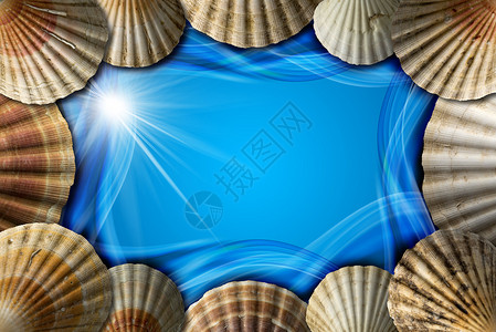 蓝色抽象背景的海壳框架图片