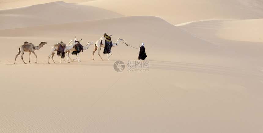 利比亚沙漠旅行者和摄影师的绝佳去处撒哈拉沙漠密集黄沙丘和商图片
