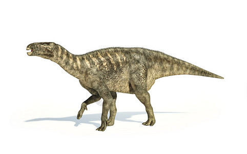 IguanodonDinosaur光学现实和科学上正确的表达方式图片