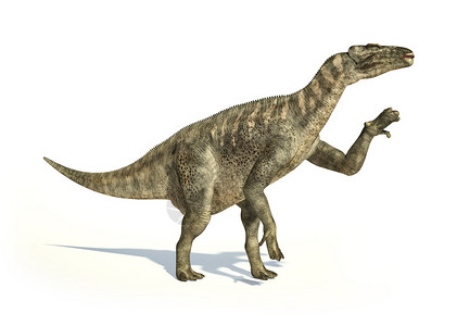 肉蛋禽IguanodonDinosaur光学现实和科学上正确的表述插画