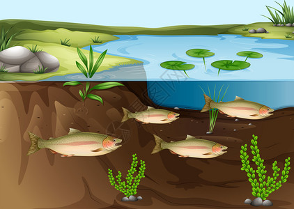 拉戈阿祖尔关于池塘下生态系插画