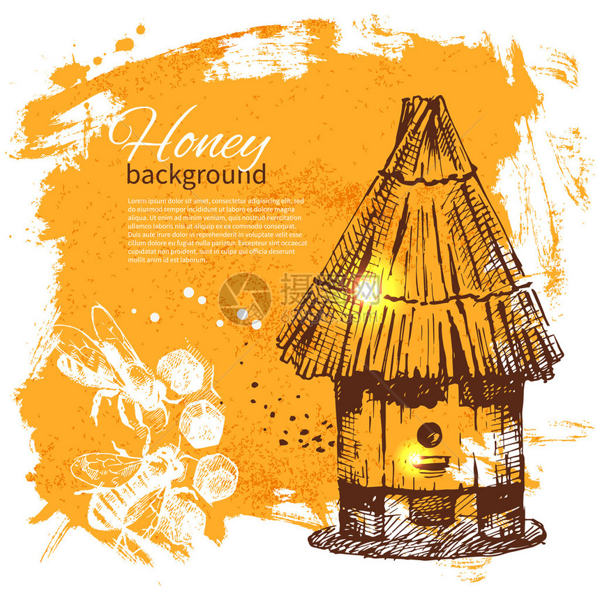 蜂蜜背景与手绘草图插图片