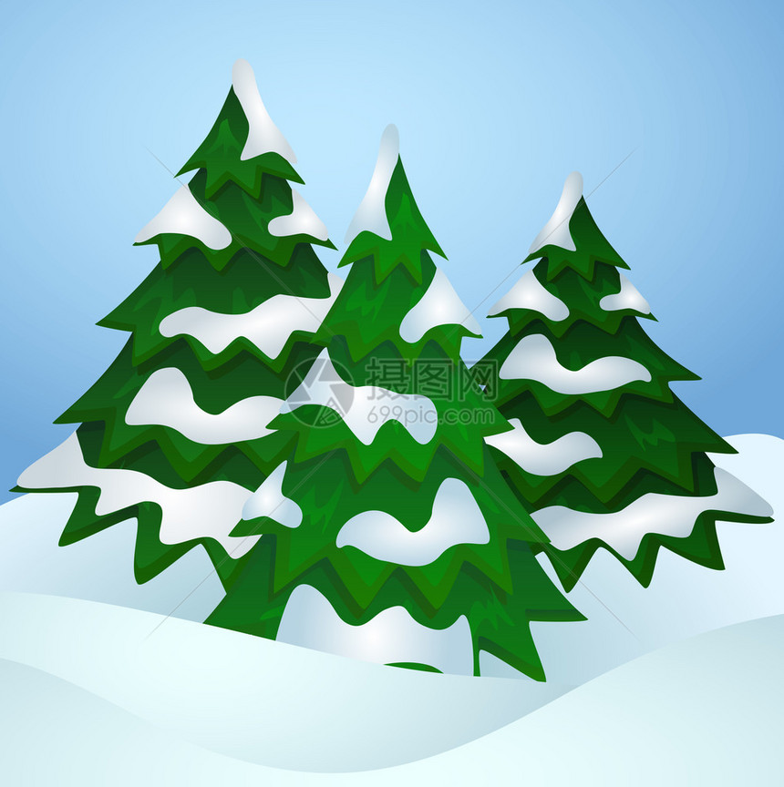三棵白雪覆盖的松树图片