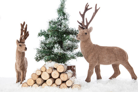 冬季圣诞节场景有两头驯鹿几条树干还图片