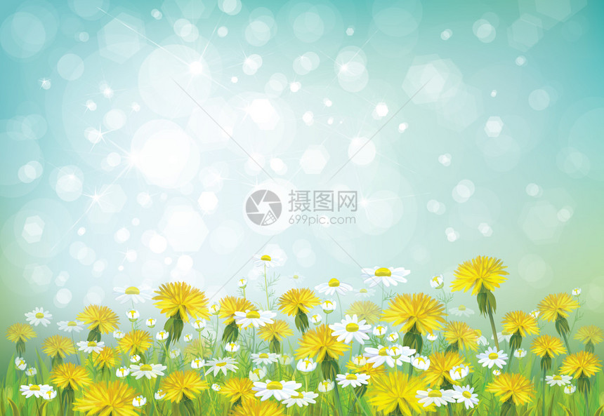 矢量春天背景与洋甘菊和蒲公英图片