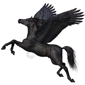 乌鸦座芨芨草一个神奇的黑斑马飞毛腿张开设计图片