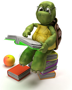 一只乌龟读书的3D渲染图片