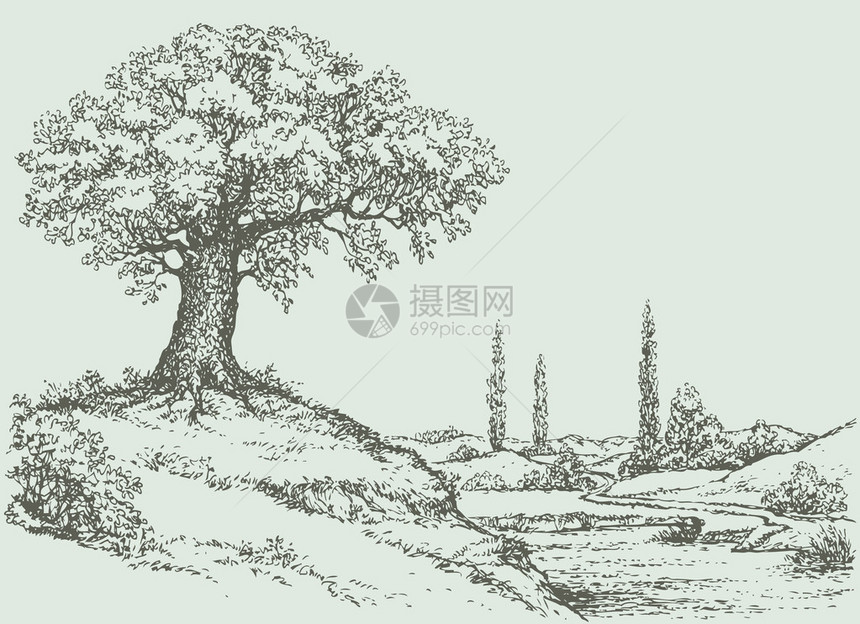 矢量景观强大的橡树生长在河谷上方的山顶上图片