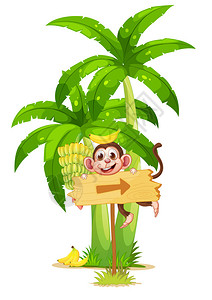 说明在香蕉植物附近白底带一只猴子的箭头板图片