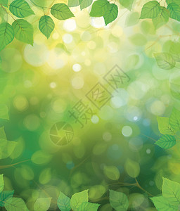 阳光背景下的矢量绿叶背景图片