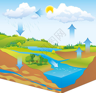 瓜鲁柳斯水循环质中的水循环矢插画