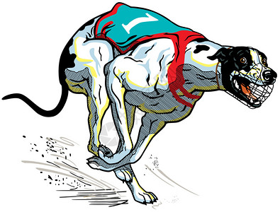 赛跑狗英语灰狗品种i说明背景图片