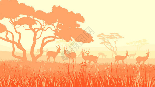 非洲有树木的热带草原中的牧群图片