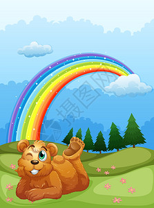 山上的熊与天空中的彩虹的插图图片