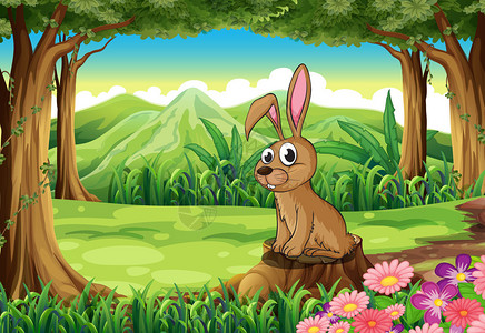 拉平森林树桩上方的兔子插图插画