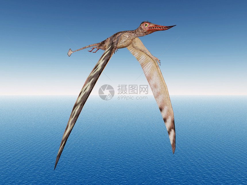 计算机用PterosaurRhamphorhynchus生图片