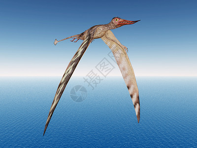 鸡血李计算机用PterosaurRhamphorhynchus生插画