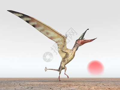 计算机用PterosaurRhamphorhynchus生图片