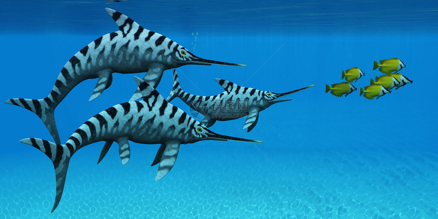 厄尔希诺龙是一个快速游泳的海洋爬行动物Ichthyosaur来自欧洲图片