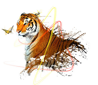老虎喷上蝴蝶和美图片