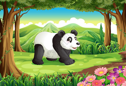 森林中一只大熊猫的插图图片