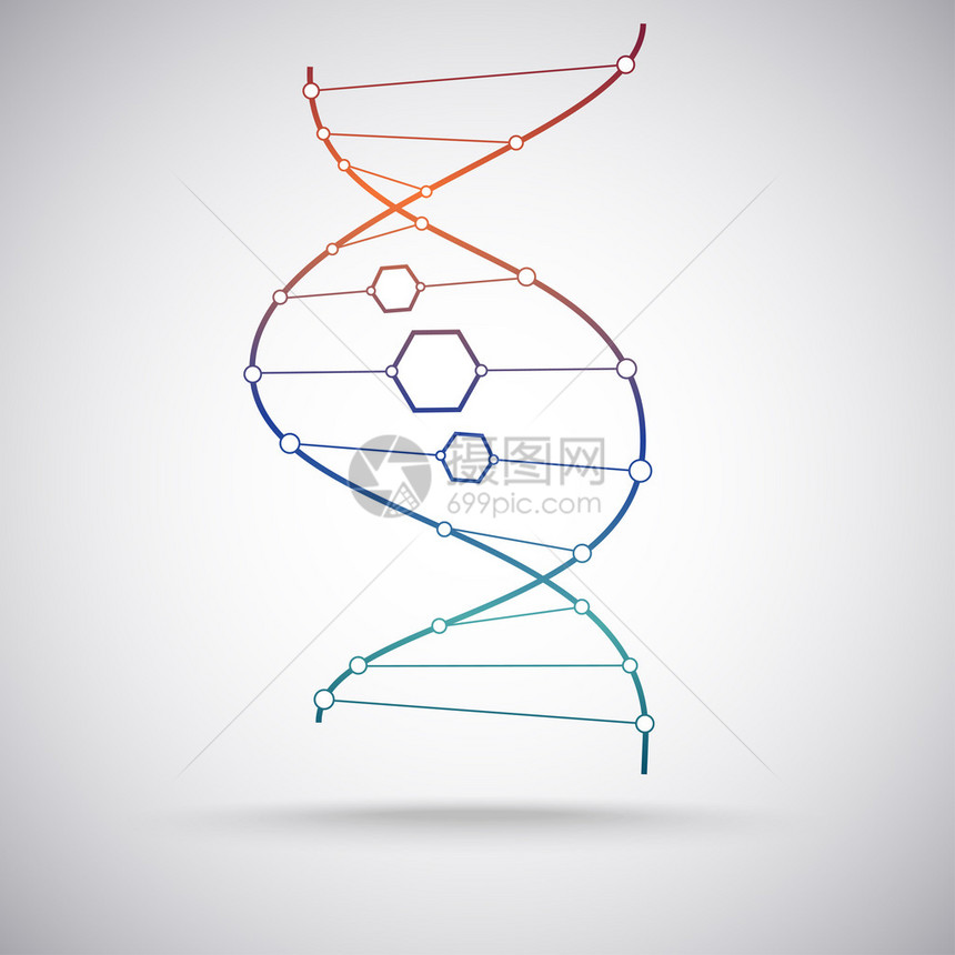 DNA分子模型的梯图片