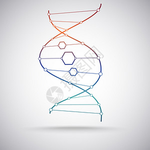 DNA分子模型的梯背景图片